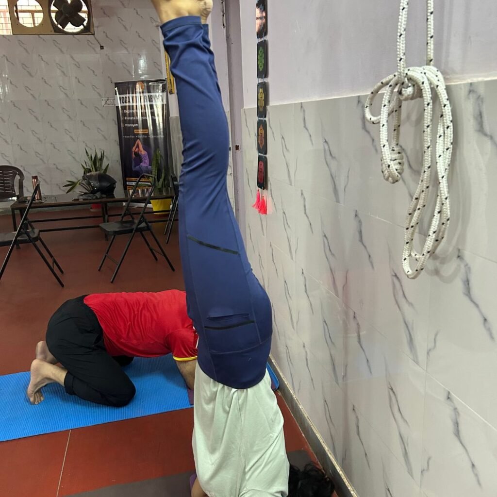 Best Yoga Class in Noida. Top Yoga studio near me. Yoga with Barkha
