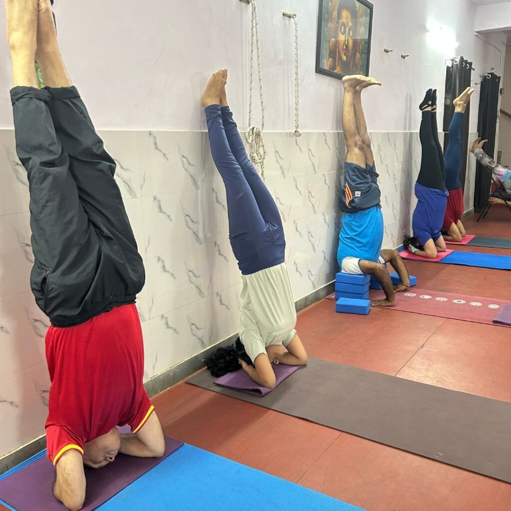 Best Yoga Class in Noida. Top Yoga studio near me. Yoga with Barkha