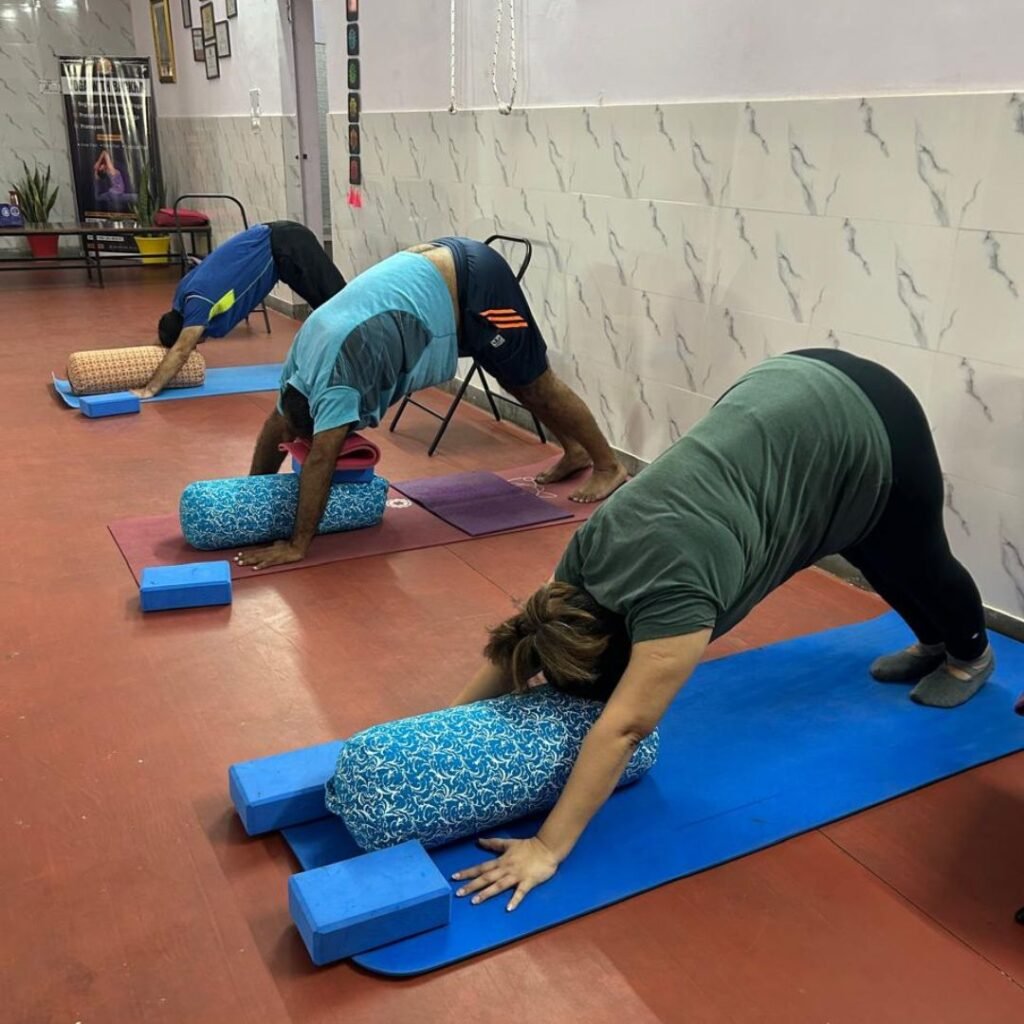Best Yoga Class in Noida. Top Yoga studio near me. Yoga with Barkha