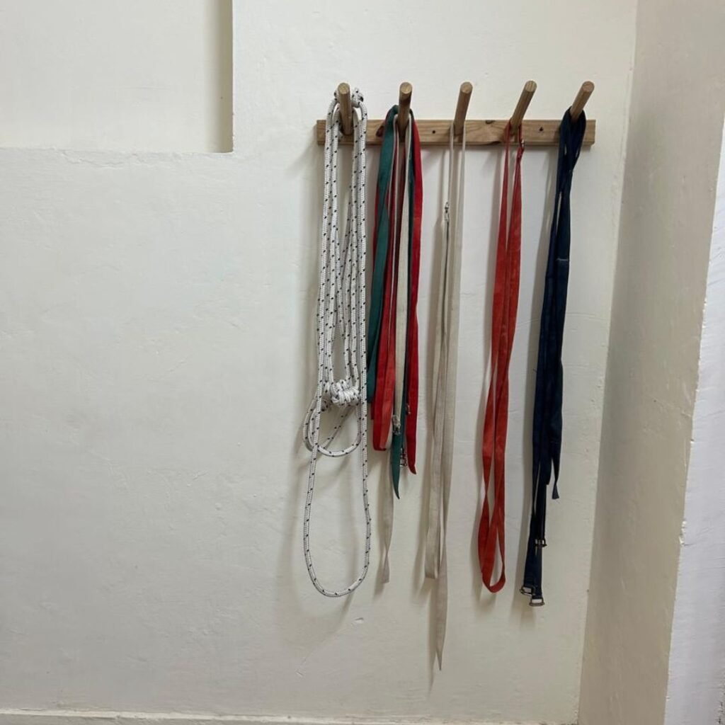 Best Yoga Class in Noida. Top Yoga studio near me. Yoga with Barkha