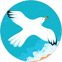 Ashish Rawat profile picture